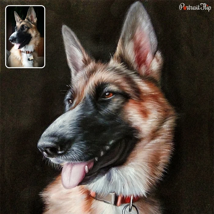 Close shot of a german shepherd that is converted into dog portraits