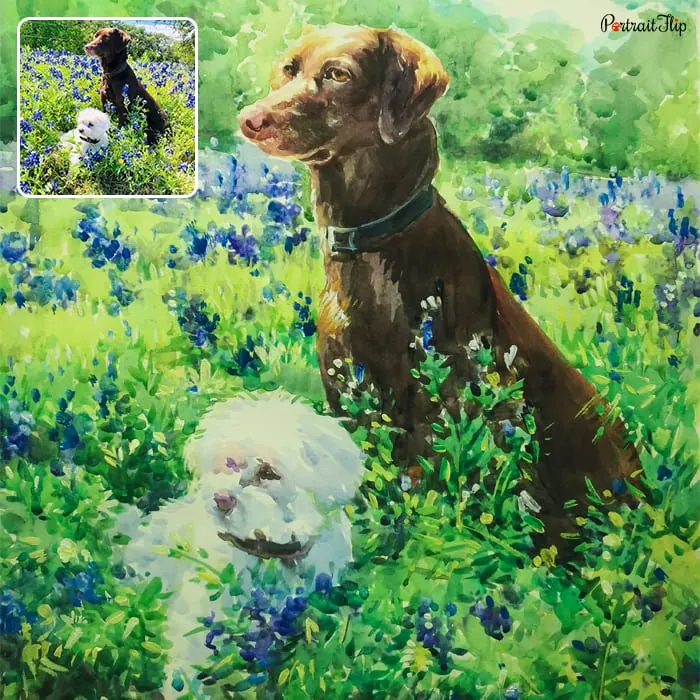 Picture of two dogs sitting in a field of grass is converted into dog portraits