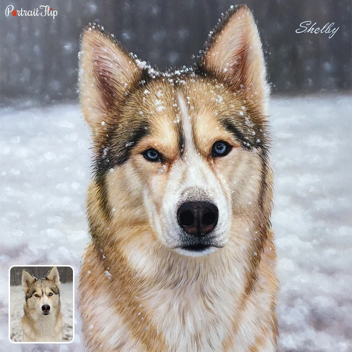 Photo of a husky that is converted into dog portraits