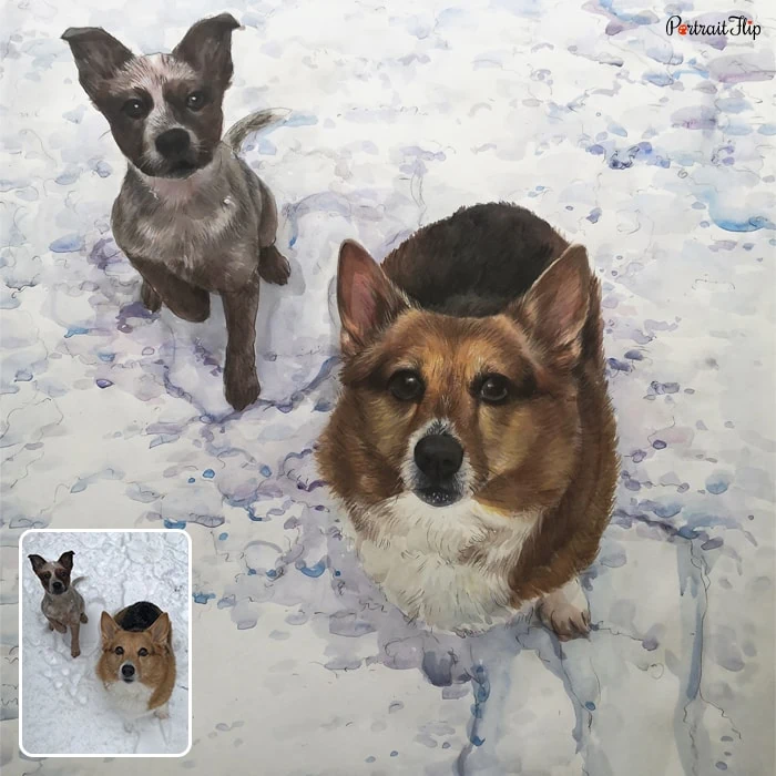 Picture of two dogs facing the camera and standing in a snowy field is converted into dog portraits