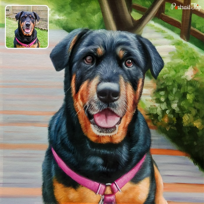 Picture of a rottweiler that is converted into dog portraits