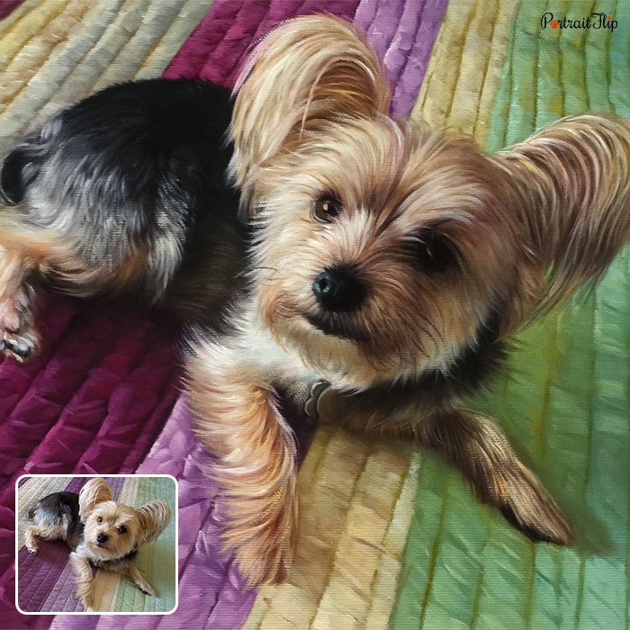 Picture of a yorkshire terrier that is converted into dog portraits