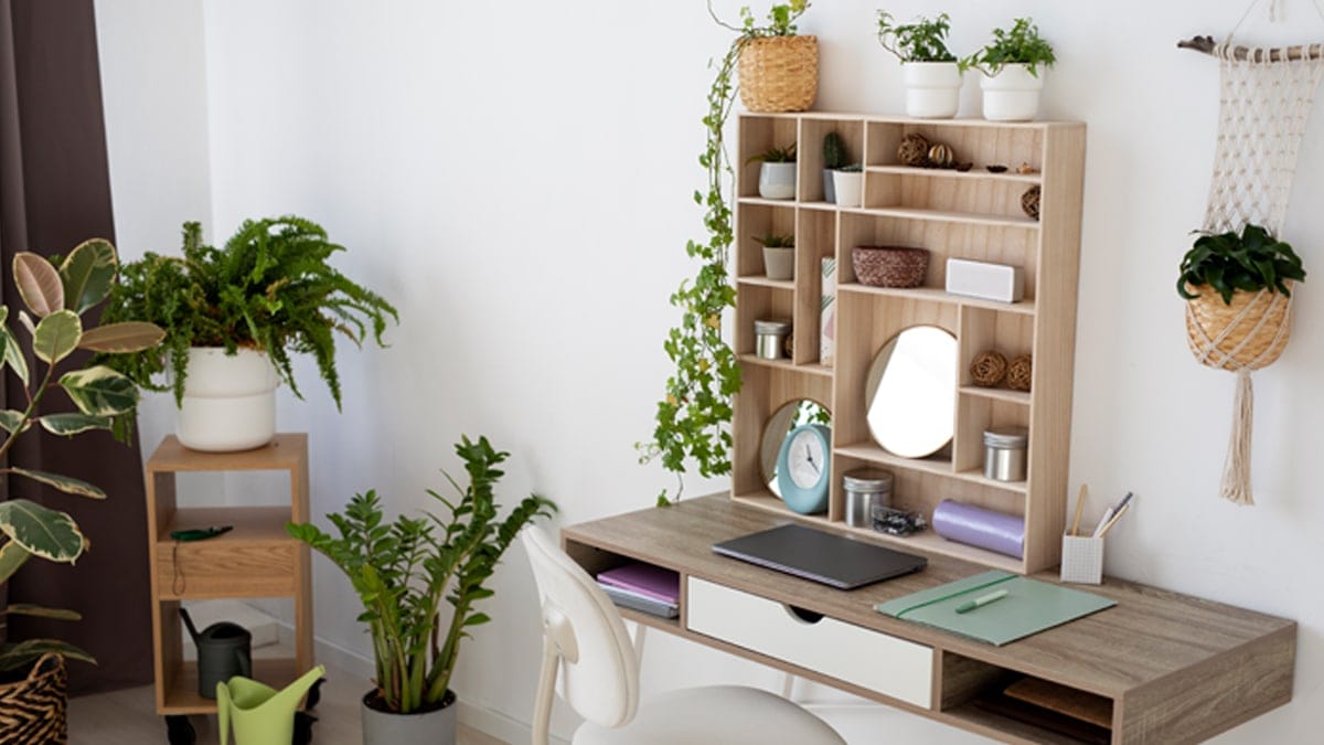 Plants in a Home Office