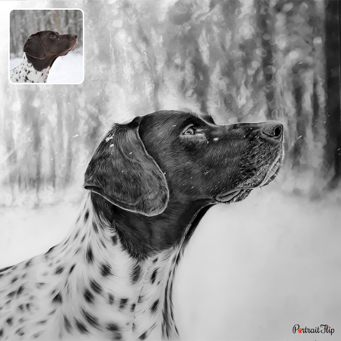 Picture of a dog who is facing upwards with snowflakes all over, which is converted into pencil paintings