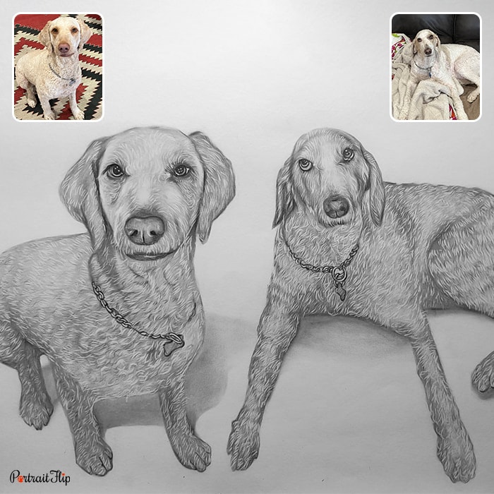 Compilation of two dogs that are placed next to each other is converted into pencil paintings