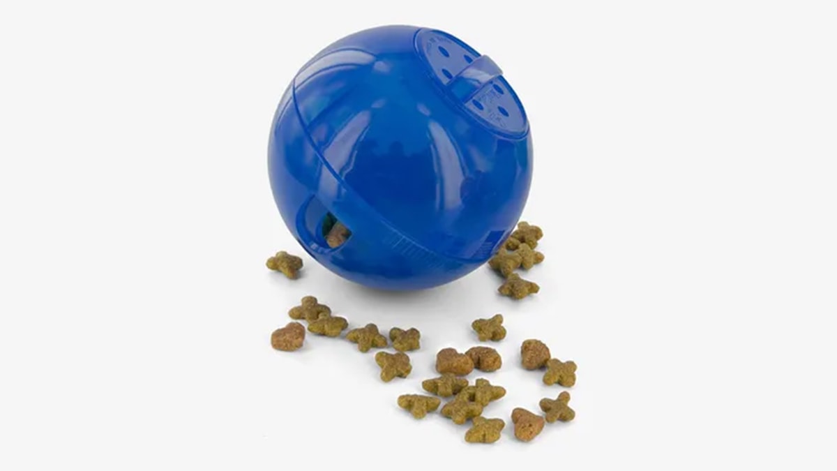 A blue colored food dispenser dispensing cat food in white background
