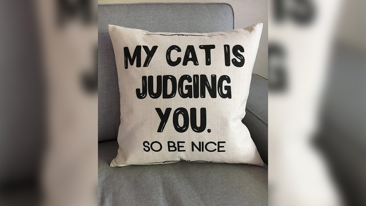 A cat cushion with quotes on it kept on a grey sofa. 