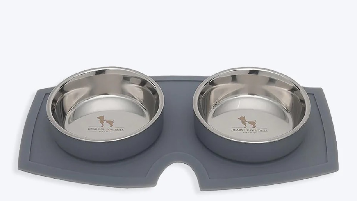 a cat food & food bowl on the great surface, Pet Christmas Gift