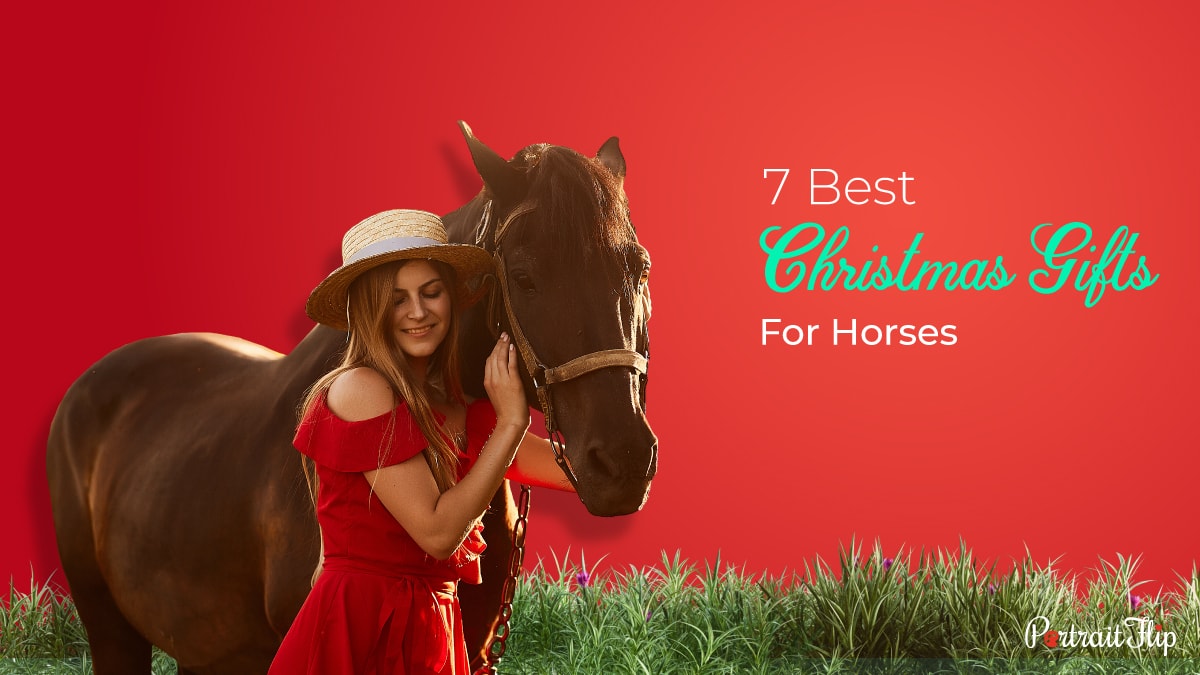 Christmas Gifts For Horses