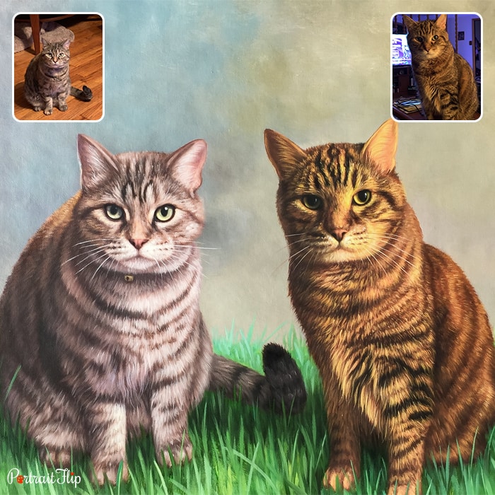 Compilation picture of two cats who are placed next to each other on a grassy area that is converted into pet portraits