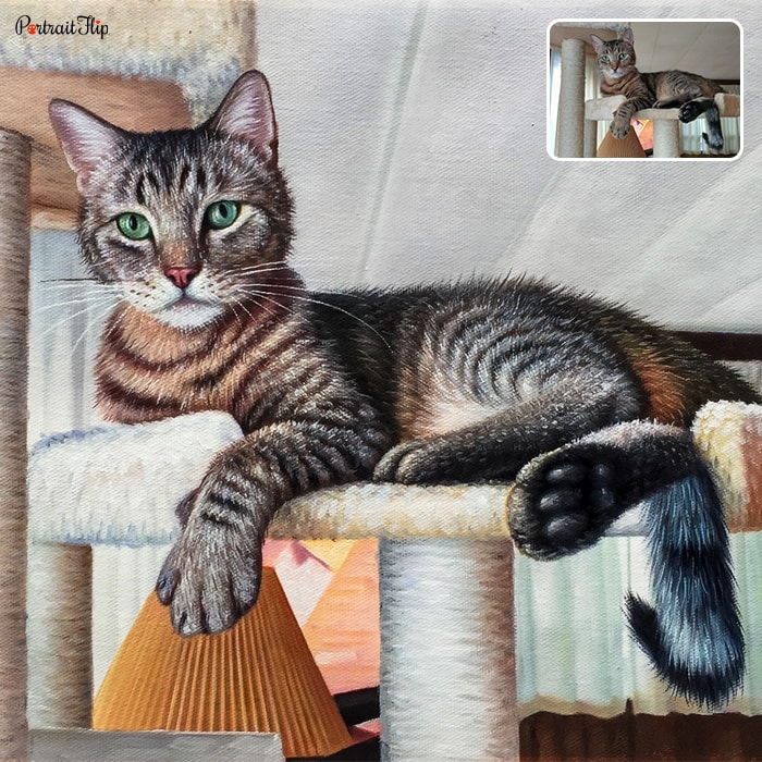 Picture of a cat sitting on a cat tower which is converted into pet portraits
