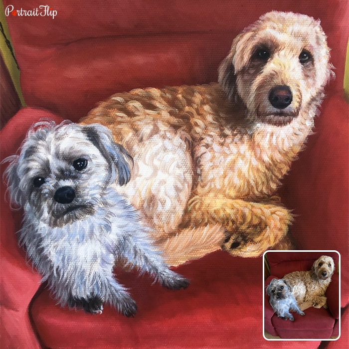 Pastel pet portraits where two dogs are on a single sofa