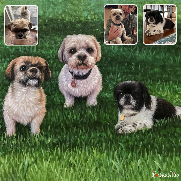 Compilation picture of three puppies placed next to each other on a field of grass is converted into pet portraits