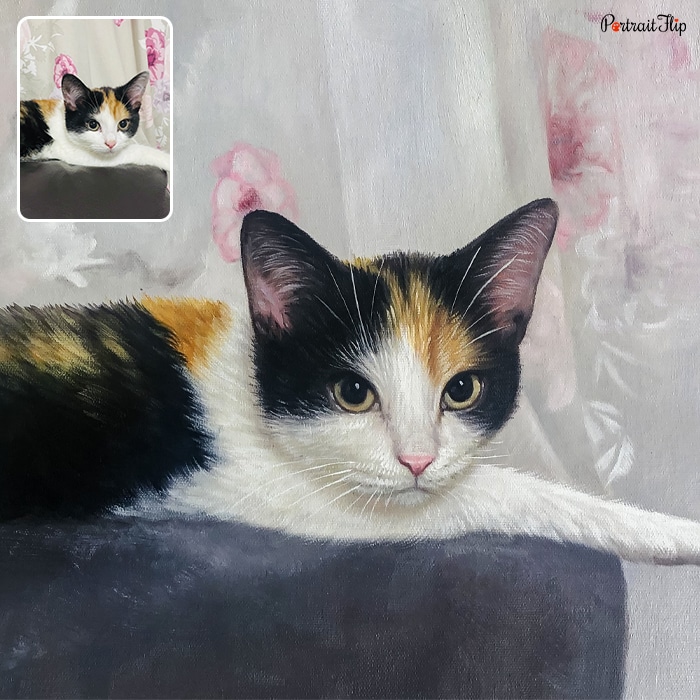 Picture of a cat lying at the edge of couch is converted into oil pet portraits