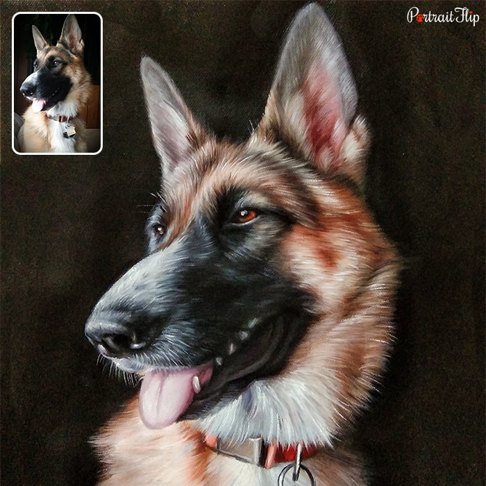 Picture of a german shepherd with a side face that is converted into pet portraits