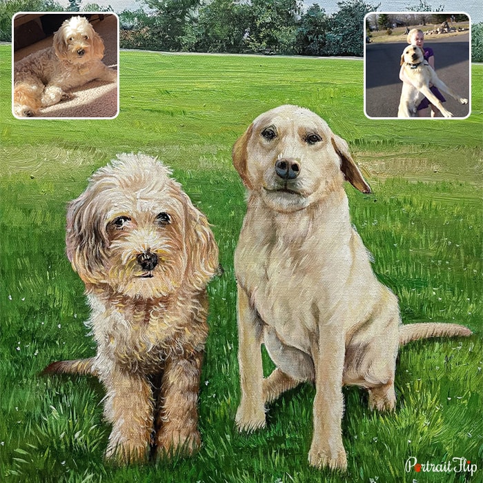 Compilation pet portraits where two dogs are placed next to each other on a grassy area