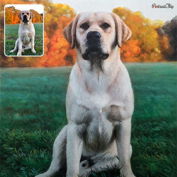 Oil pet portraits where the dog is sitting on a field of grass