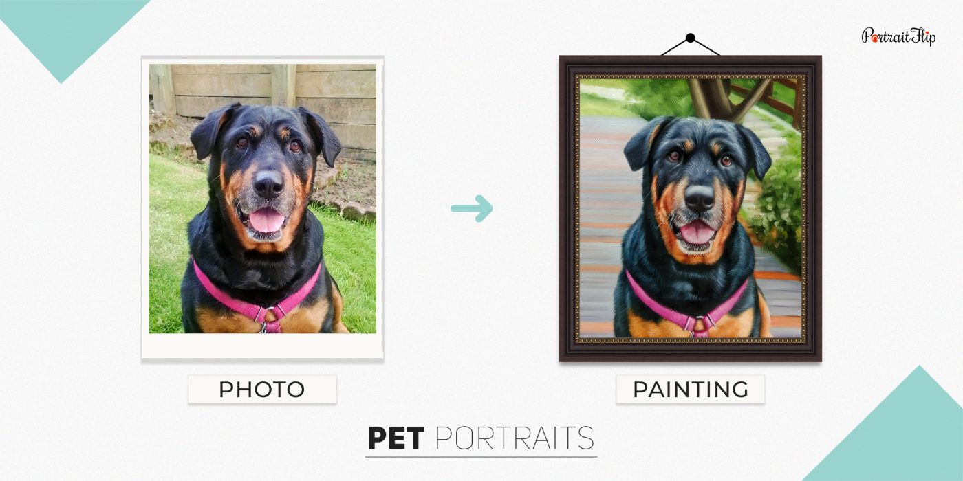 Photo of a dog which is converted into pet portraits