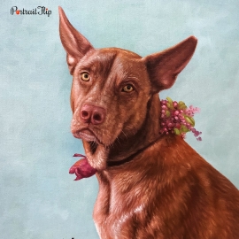 Pet portraits of a dog with a floral tie band tied around his neck