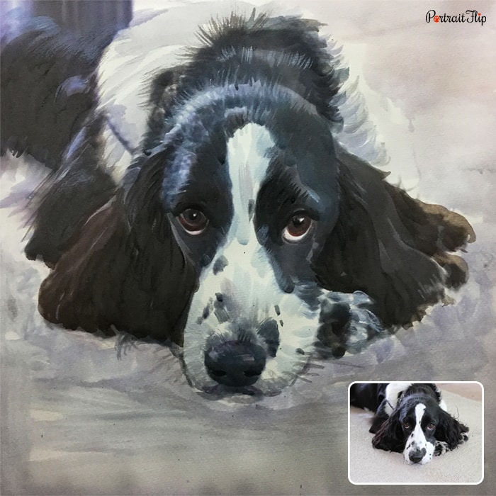 A watercolor paintings of a dog lying down with a front face