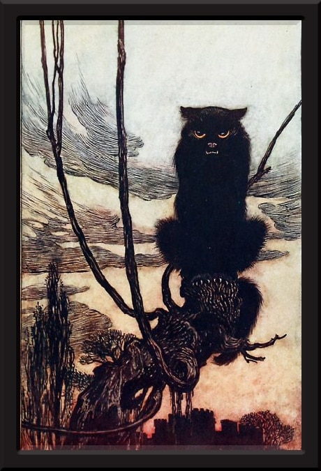 by day she made herself into a famous cat paintings by Rackham