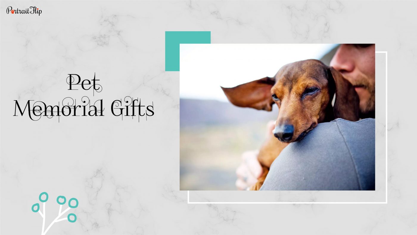 12 Best Pet Memorial Gift Ideas in 2023 - Memorial Gifts for Pets