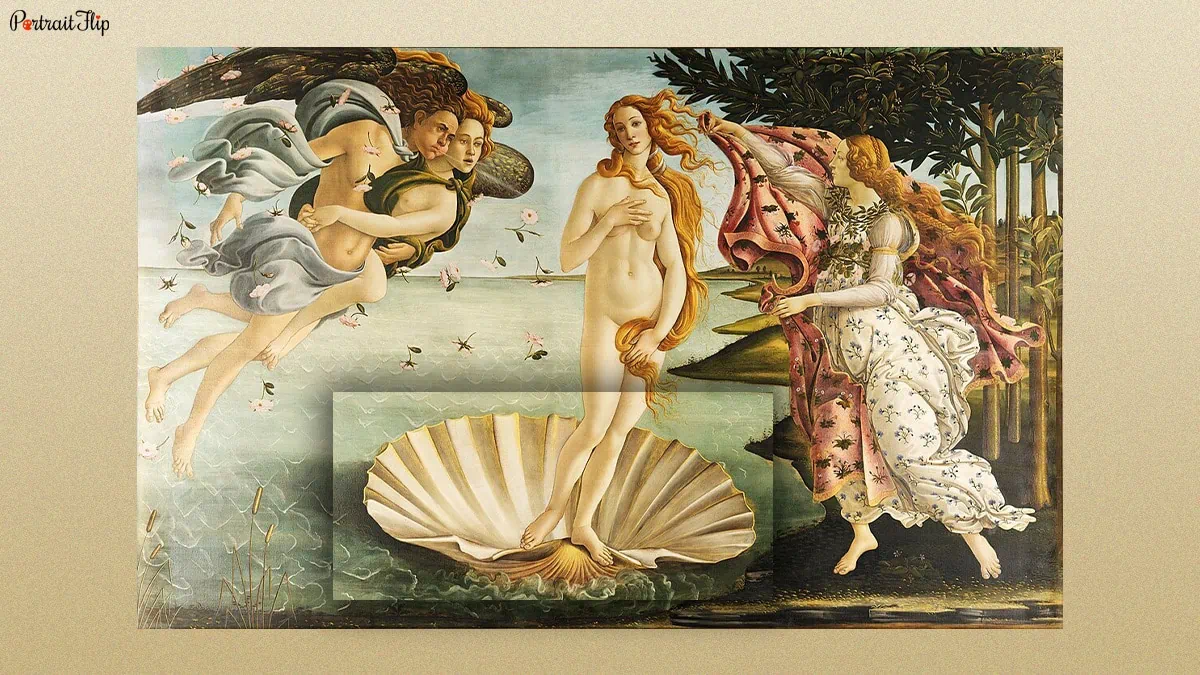 a shell of Venus