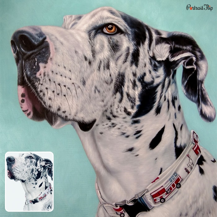 Acrylic painting of a dog’s close-up face, which is slightly in an upward direction