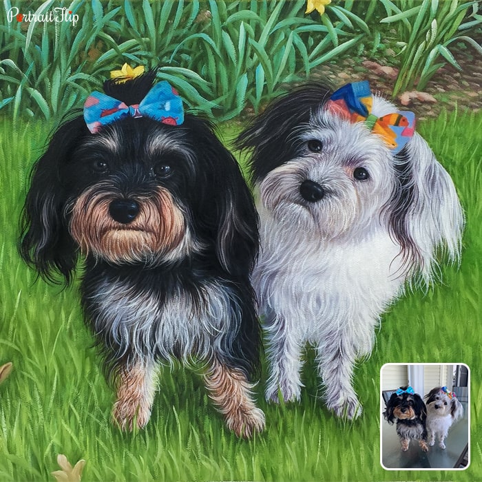 Acrylic painting of two dogs placed on field of grass with colorful bows on their heads