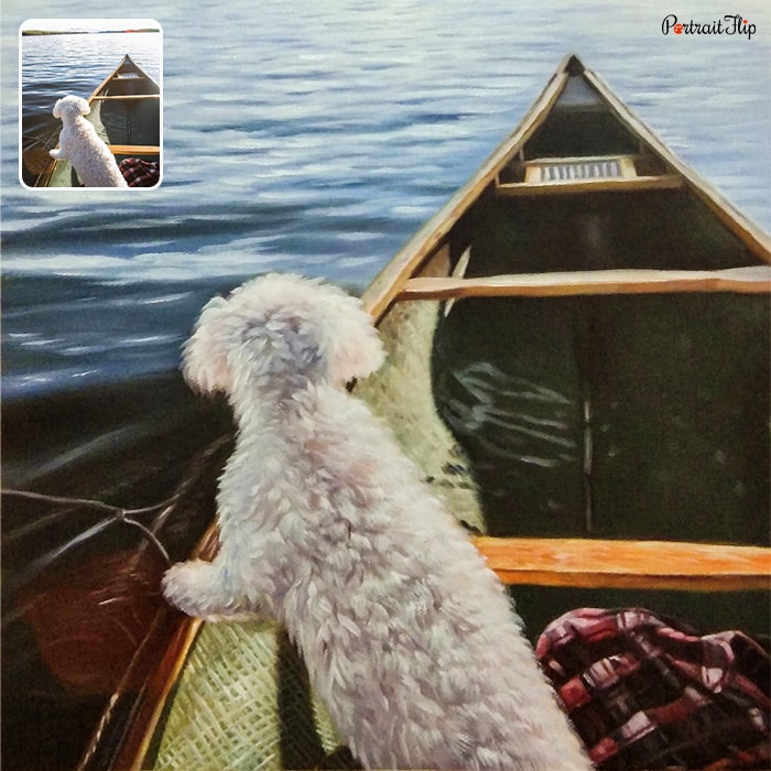 Picture of a dog on a boat which is converted into boat portraits