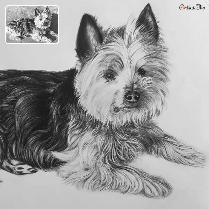 Charcoal paintings of a dog