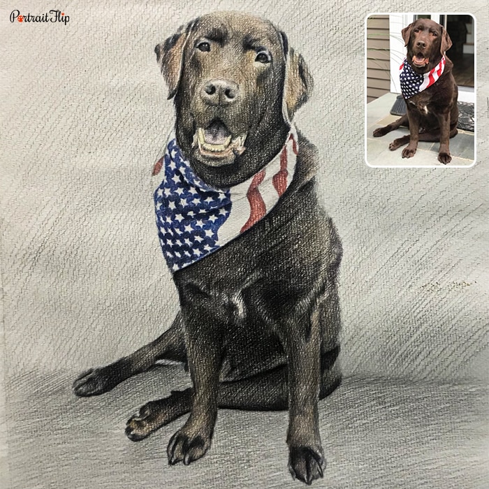 Colored pencil paintings of a dog wearing the United States flag scarf around his neck