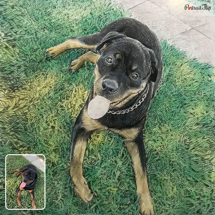 Colored pencil paintings of a dog facing in upward direction