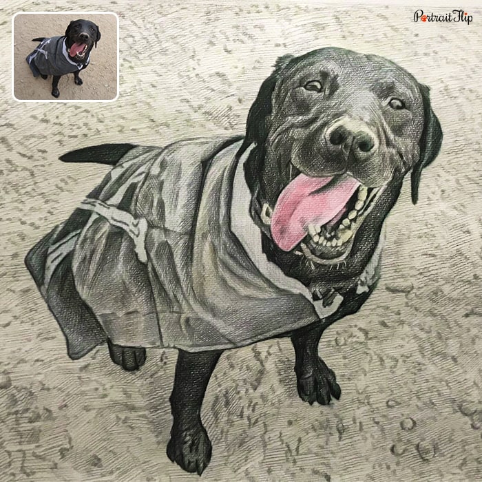 Colored pencil paintings of a dog standing on sand