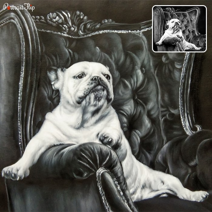 Black and white picture of a pug dog who is sitting on a chair which is converted into oil memorial portraits