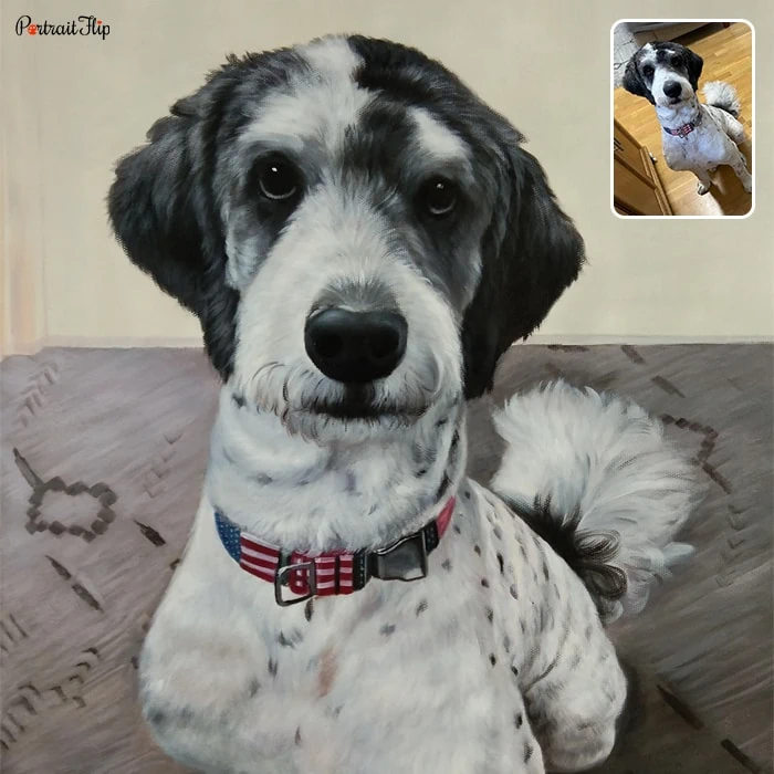 Close-up picture of dog’s face that is converted into pastel paintings