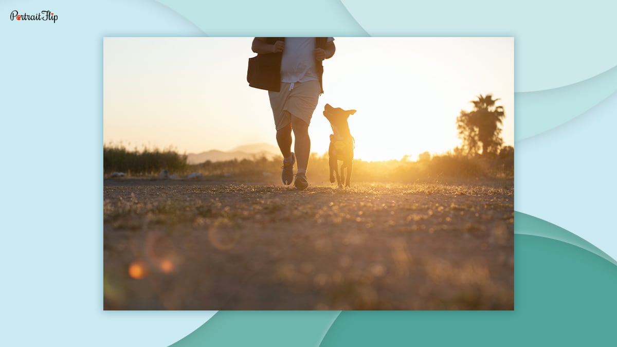 A man and a dog can be seen running during sunset or sunrise
