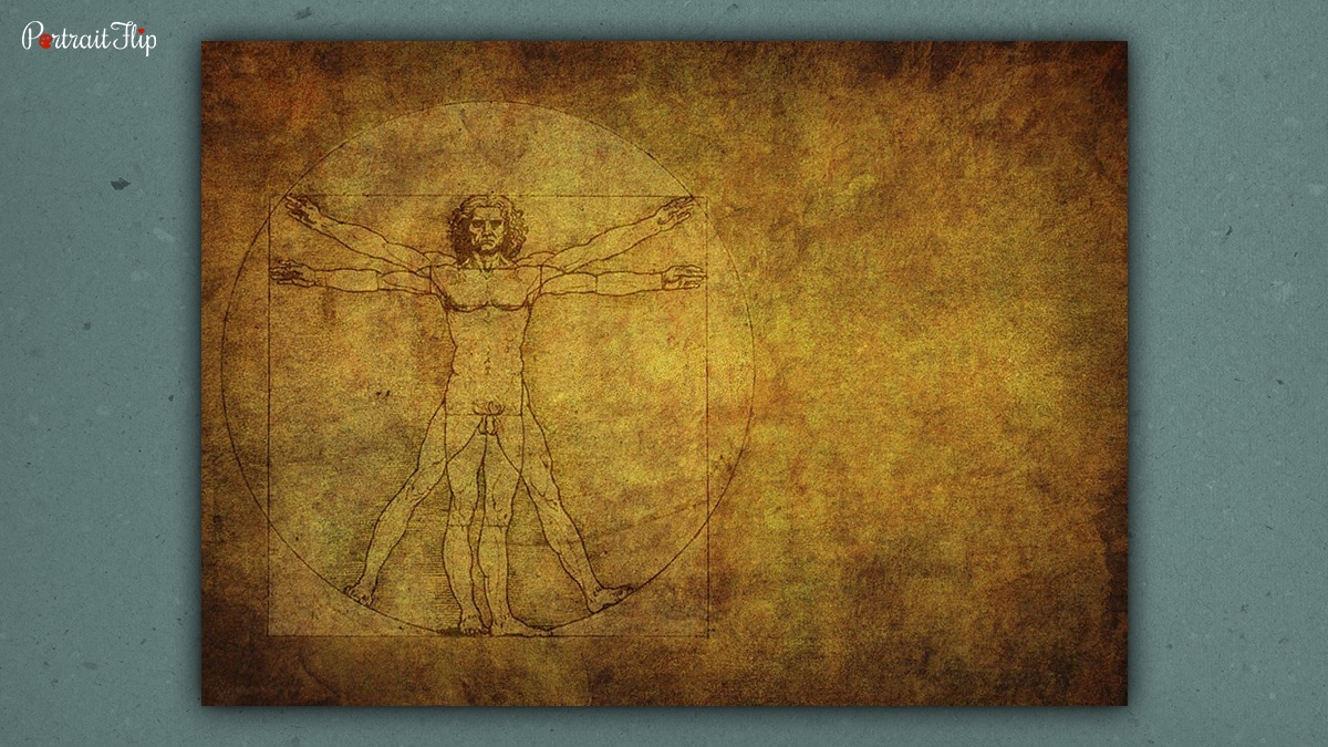 Image of the painting "The Vitruvian Man" by Leonardo da Vinci