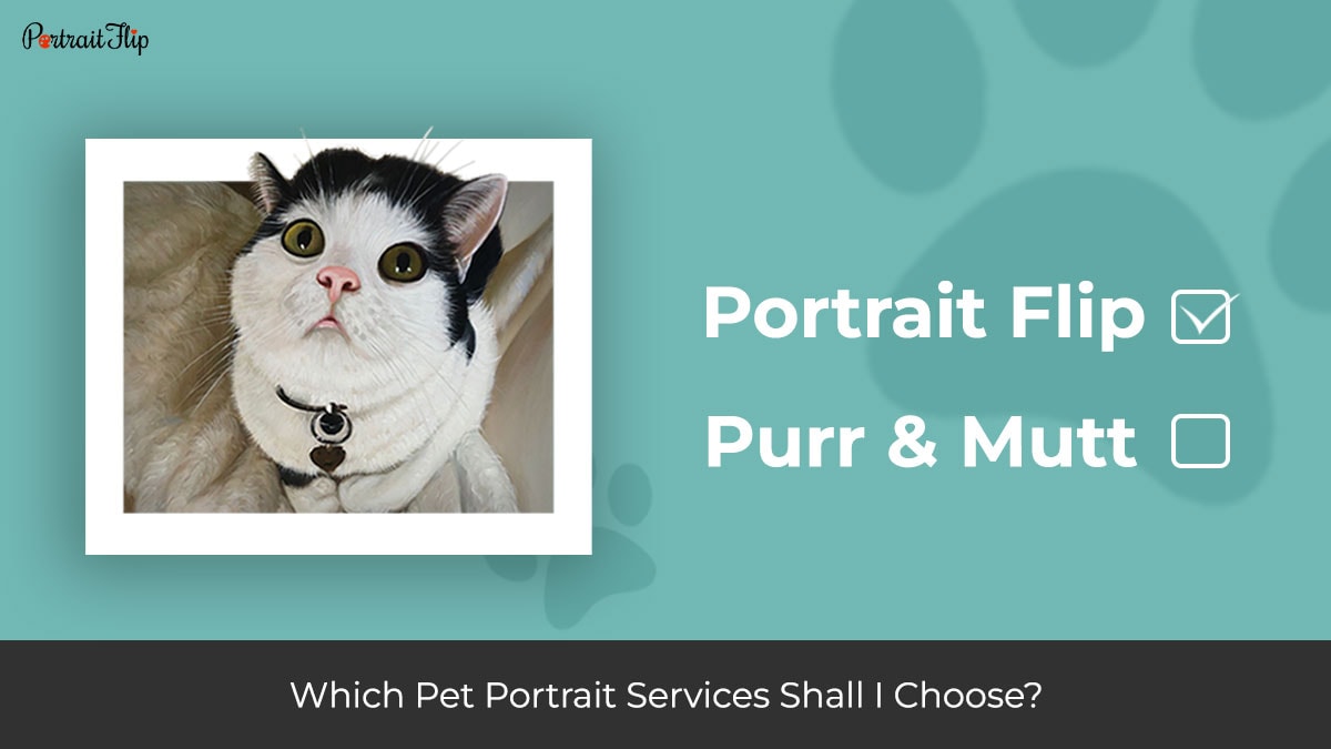 PortraitFlip vs. Purr and Mutt Whom Shall I Choose