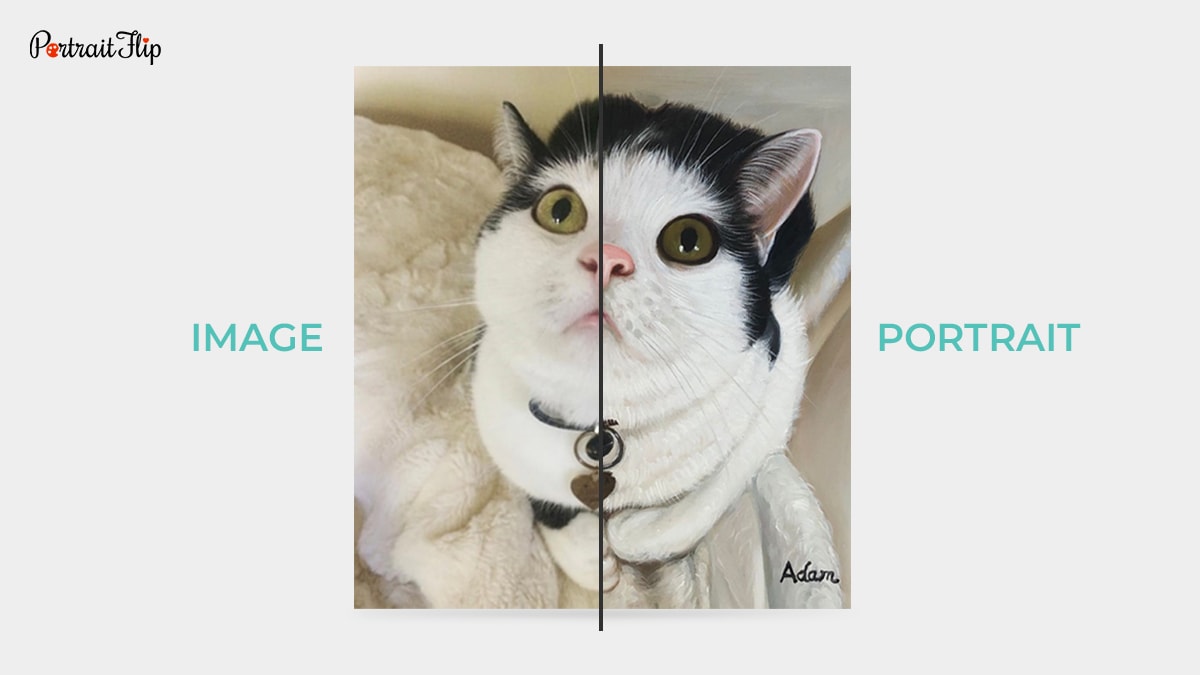 Pet Portrait of a cat by PortraitFlip that show half image and half painting