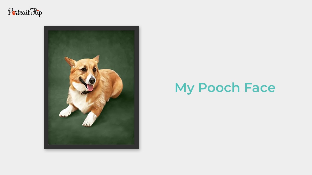 Portrait of a dog by MyPoochFace which is one of the pet portrait companies