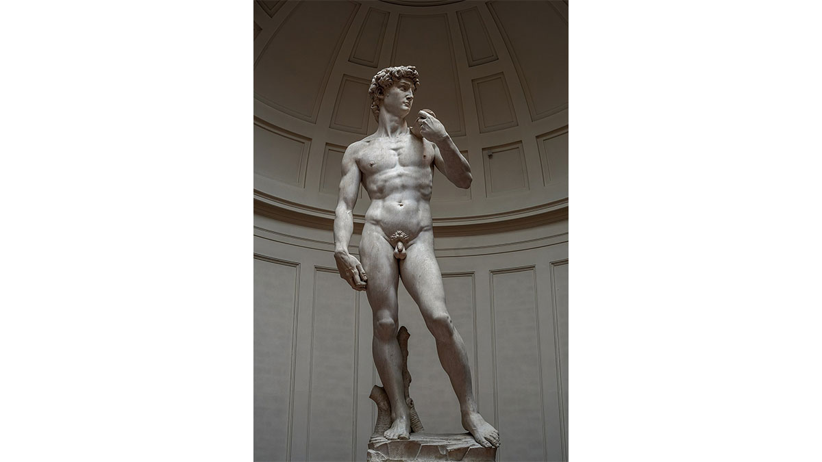David by Michelangelo belongs to standard proportion in art