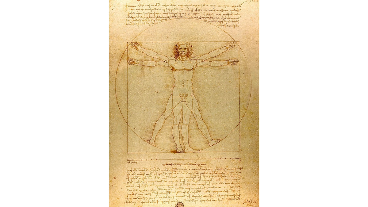 Vitruvian Man by Leonardo da Vinci belongs to standard proportion in art