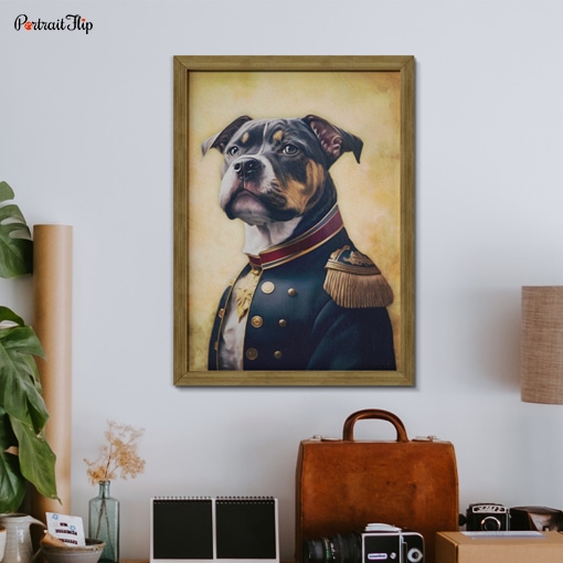 Portrait of a dog as a general officer is mounted on wall