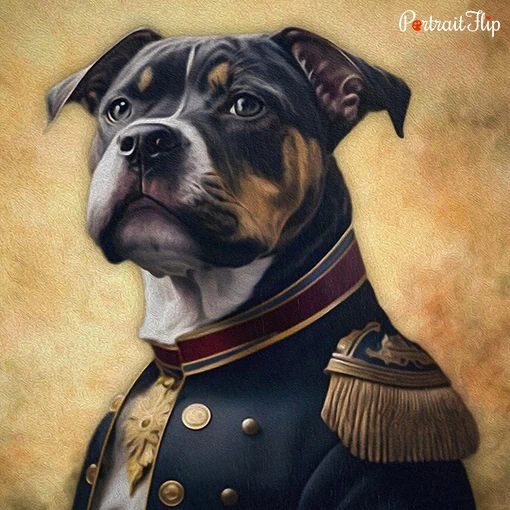 Portrait of a dog as the admiral