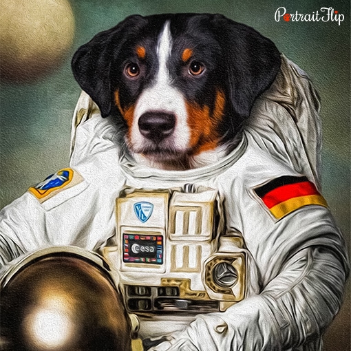 Portrait of a dog in astronaut’s outfit