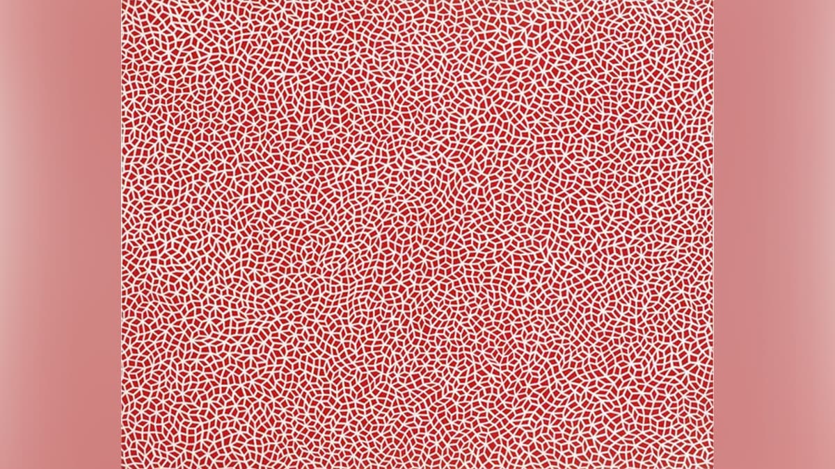 Painting from Yayoi Kusama's Infinity Net series.