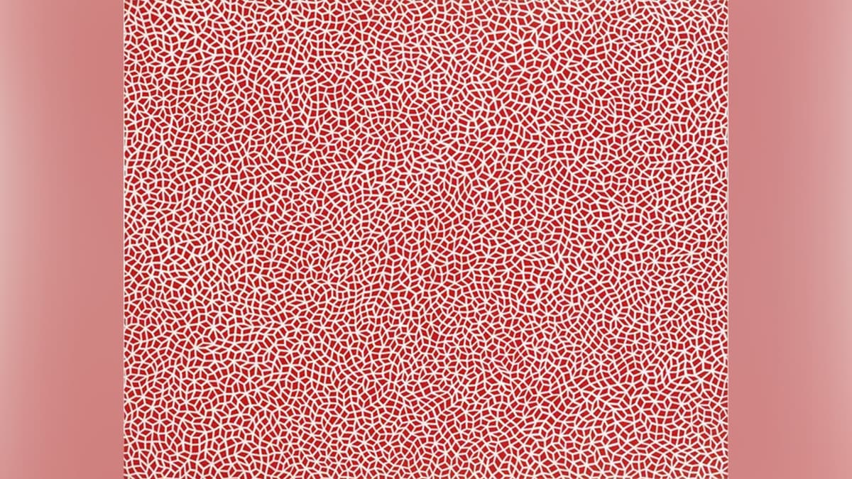 Painting from Yayoi Kusama's Infinity Net series. 