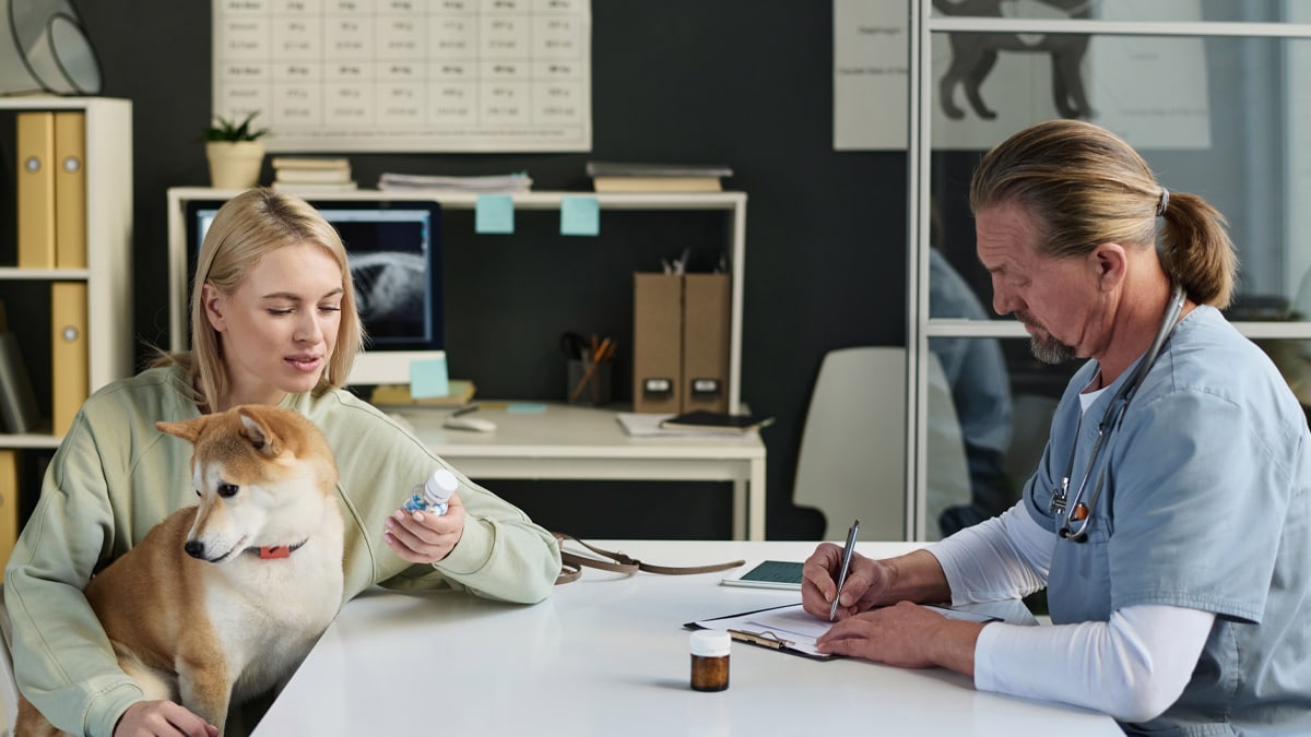 A vet is creating notes and a pet parent is shown holding her dog 