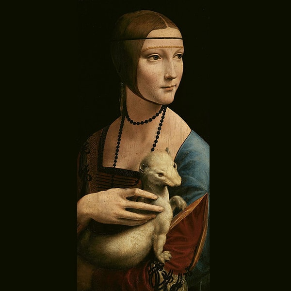 The attire of the lady from Da Vinci's Lady with an Ermine painting 